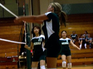 East Brunswick Volleyball