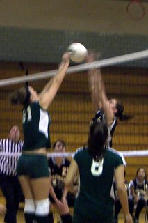 East Brunswick Volleyball
