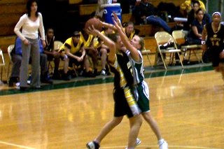 East Brunswick Girls Basketball - click for larger image