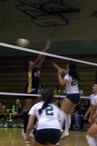 East Brunswick Volleyball