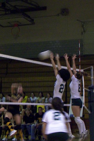 East Brunswick Volleyball