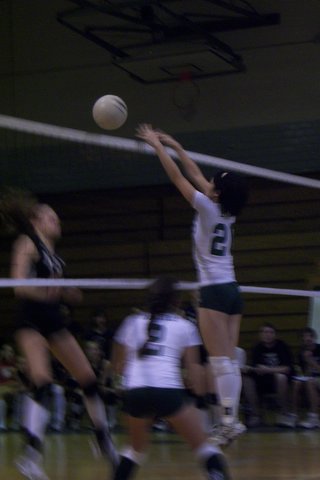 East Brunswick Volleyball