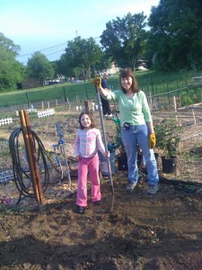 East Brunswick Community Garden East Brunswick Community Garden Picture